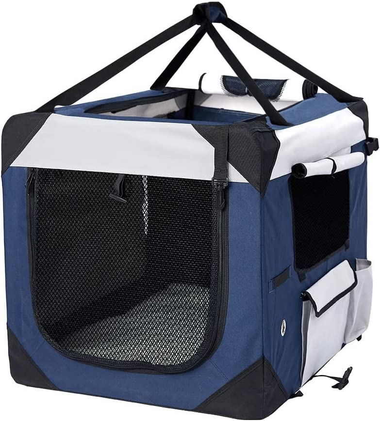 Pawz Hand Portable Travel Carrier Crate for Dog, X-Large, Blue
