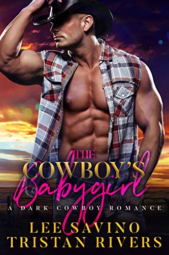 The Cowboy's Babygirl book cover