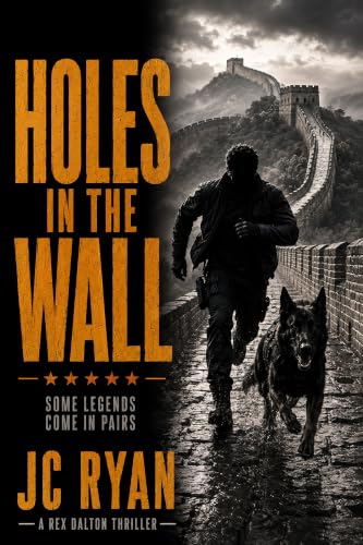Holes In The Wall book cover