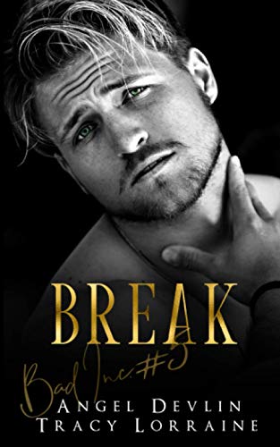 Break book cover