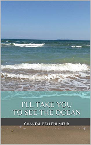 I'll Take You to See the Ocean book cover