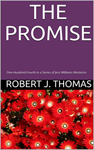 The Promise book cover
