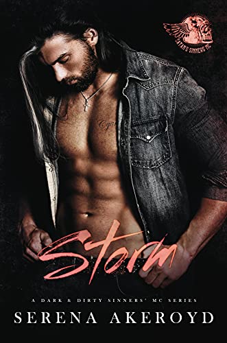Storm book cover