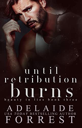 Until Retribution Burns book cover