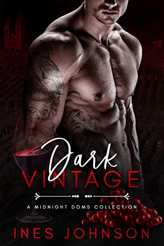 Dark Vintage book cover