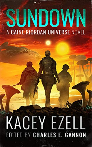 Sundown book cover