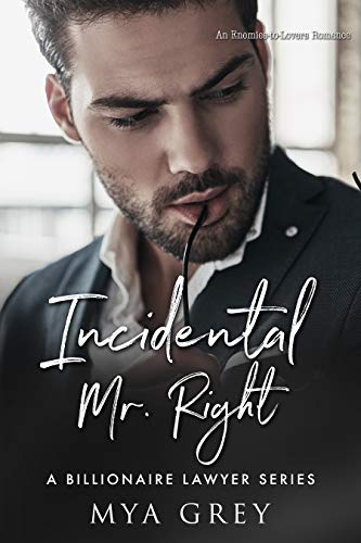 Incidental Mr. Right book cover