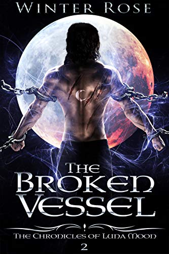 The Broken Vessel book cover