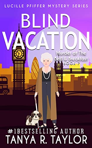 Blind Vacation book cover
