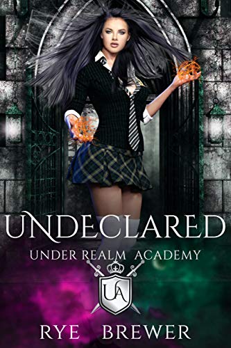 Undeclared book cover