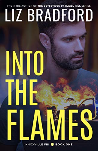 Into the Flames book cover