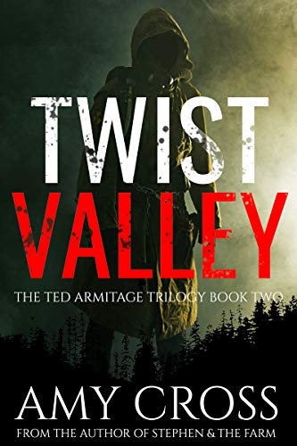 Twist Valley cover