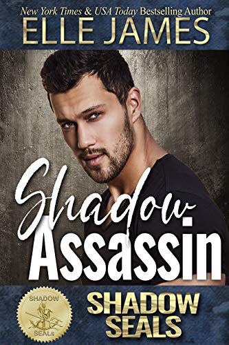 Shadow Assassin book cover