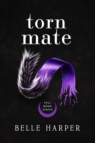 Torn Mate cover