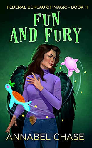Fun and Fury book cover