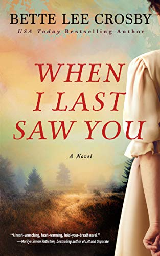 When I Last Saw You book cover