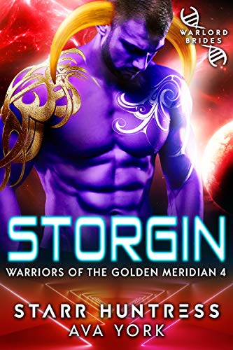 Storgin cover