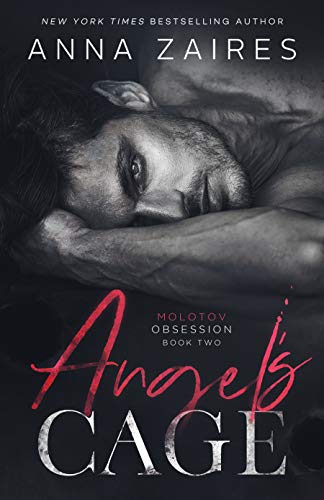 Angel's Cage book cover