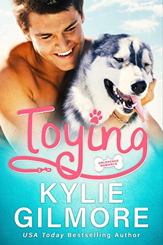 Toying book cover