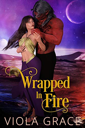 Wrapped in Fire book cover