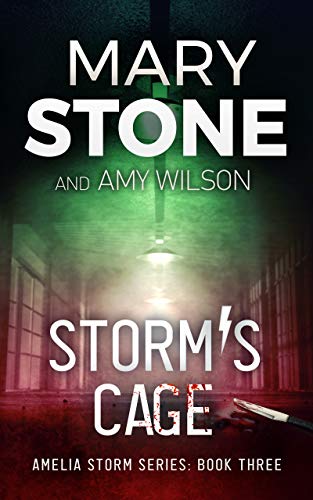 Storm's Cage book cover