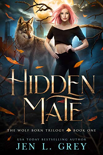 Hidden Mate book cover