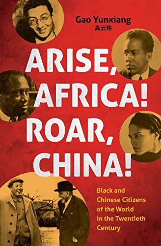 Arise Africa, Roar China (By: Yunxiang Gao) cover