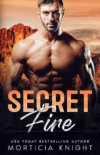 Secret Fire book cover