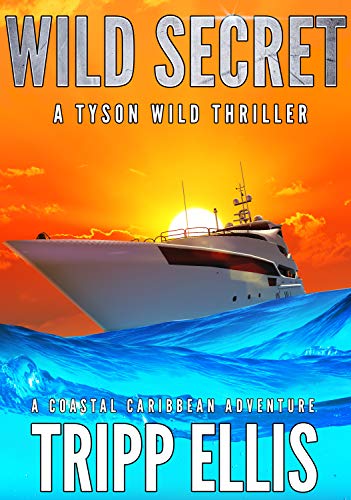 Wild Secret book cover