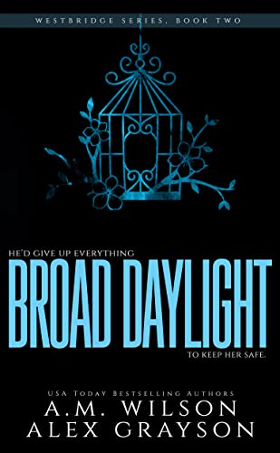 Broad Daylight book cover