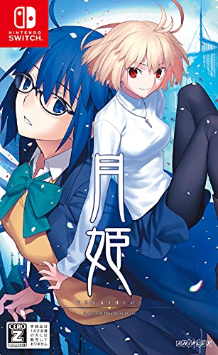 【NS】ニンテンドースイッチの名作・アドベンチャーゲーム人気投票&ランキング【ADV】 157位 月姫 -A piece of blue glass moon-の画像
