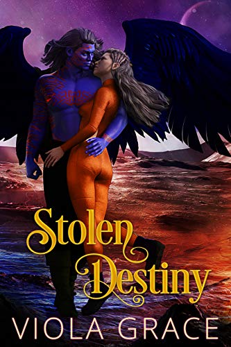 Stolen Destiny book cover