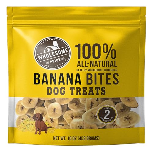 Wholesome Pride Banana Bites Dog Treats – 2-Ingredient Banana Chips for Dogs, Grain-Free, Banana & Coconut Oil, 16 oz