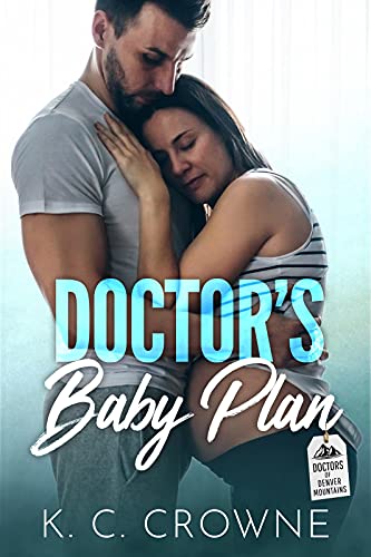 The Baby Plan book cover