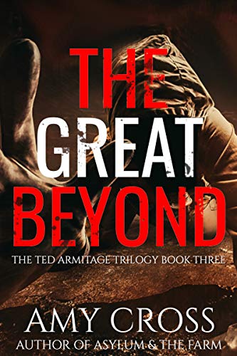 The Great Beyond book cover