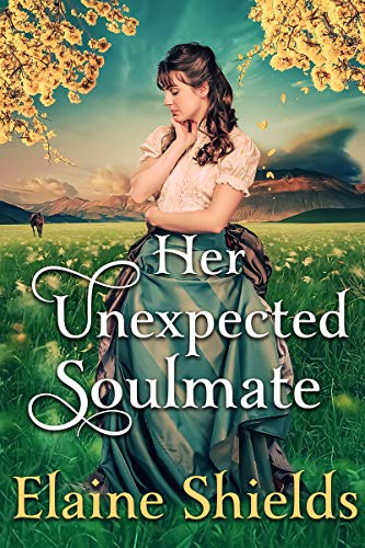 Her Unexpected Soulmate book cover