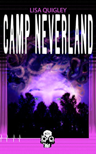 Camp Neverland book cover