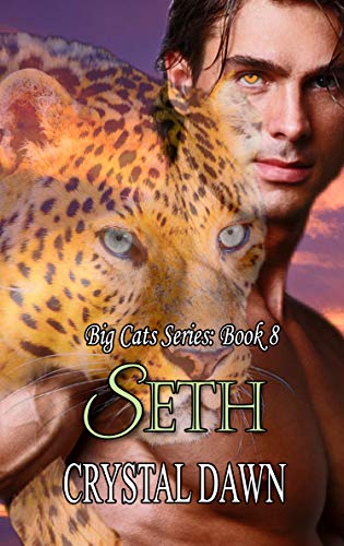 Seth book cover