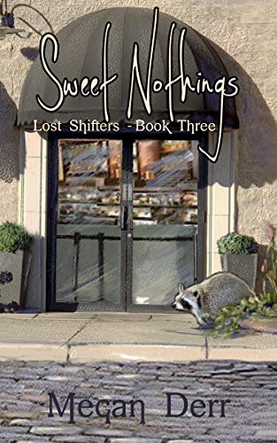 Sweet Nothings book cover
