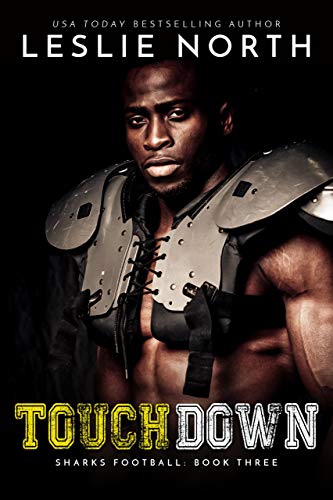 Touchdown book cover