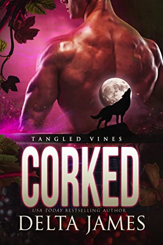 Corked book cover