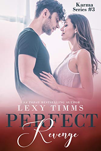 Perfect Revenge book cover
