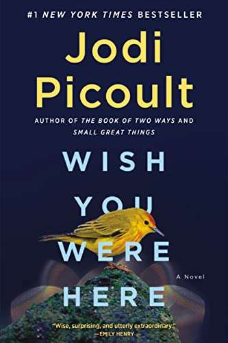 Cover of Wish You Were Here: A Novel