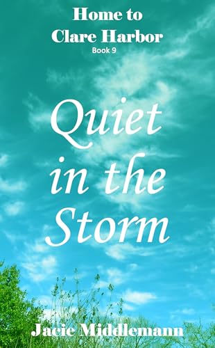 Quiet in the Storm book cover
