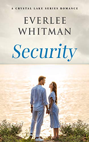 Security book cover