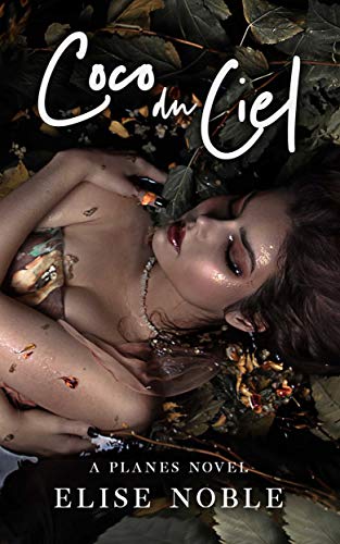 Coco du Ciel book cover