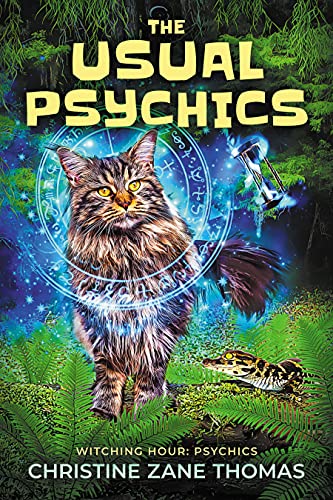 The Usual Psychics book cover