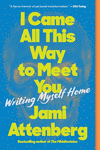 I Came All This Way to Meet You book cover