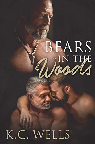 Bears in the Woods book cover