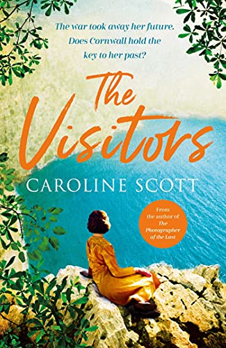 The Visitors book cover